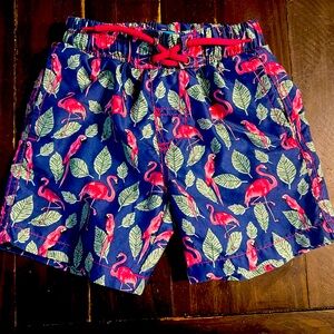 Boys 5T Flamingo Swim Trunks